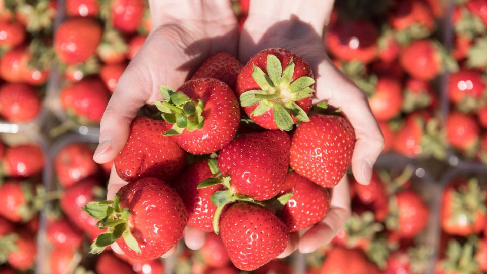 �������� � ��������� ���� ������ ����� ������: ����� ���� ������� ��� ������