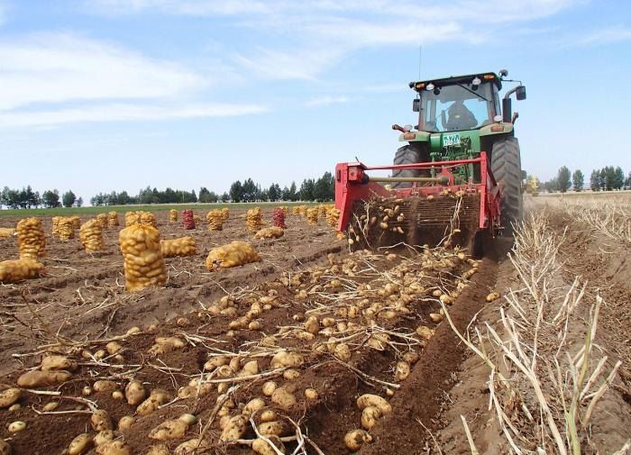 ����� ��������� ����� �������� ������� ��������?