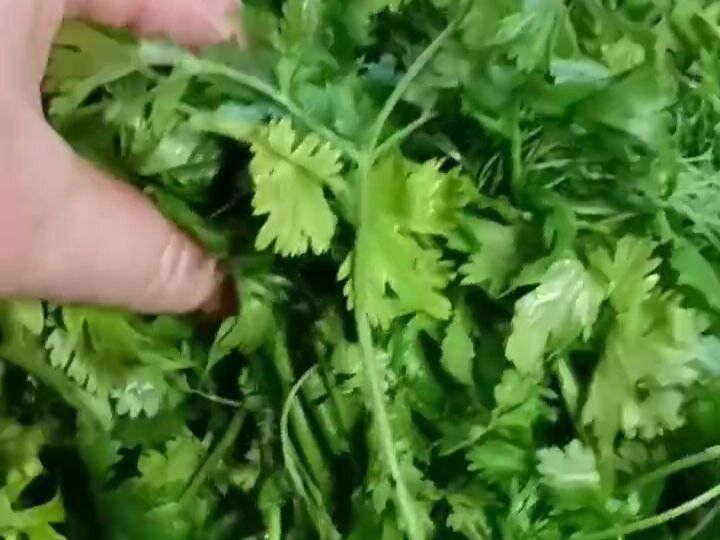 Секреты зимнего хранения зелени: как сохранить свежесть и витамины