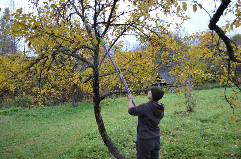 ��� ���������������� ������ ��� ������� ������ ������