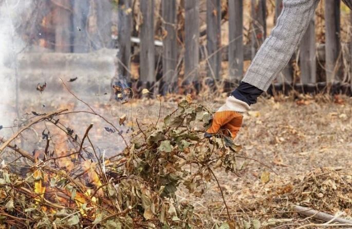 ������ ������� ���������� ������ ���� ����� ��� ������ ������