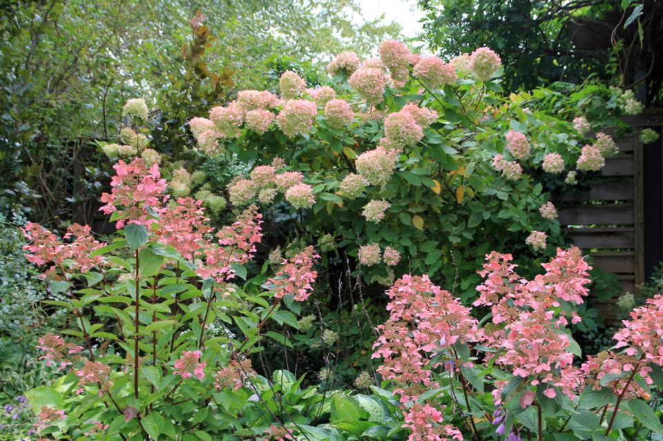 ���� �� ��������� ������������: ��� ��������� ���������� ������