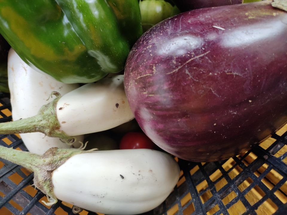 ��� ��������� ������������� ��������� � ���� ��� ������������� ������