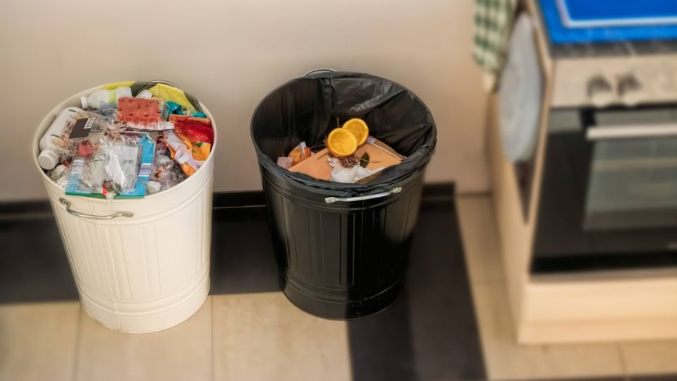 �������� ����� ������ �� ����� �������� ����: ��� ����� �������� �������