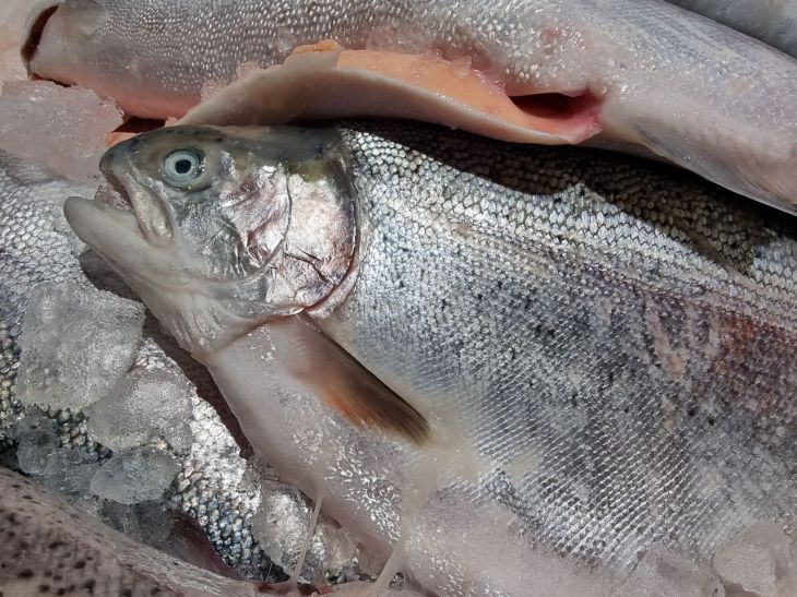 ������ ���� �������� � ������� ������������� ���� ����� 10 ��� ��������: �������� ����?