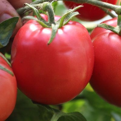 ����� �������� ��� ������� ����� ��� ��������� ����