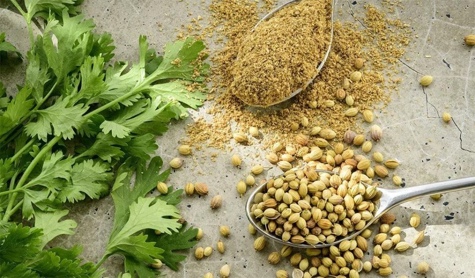 ��������: ������, ������� ���������� �� ��������