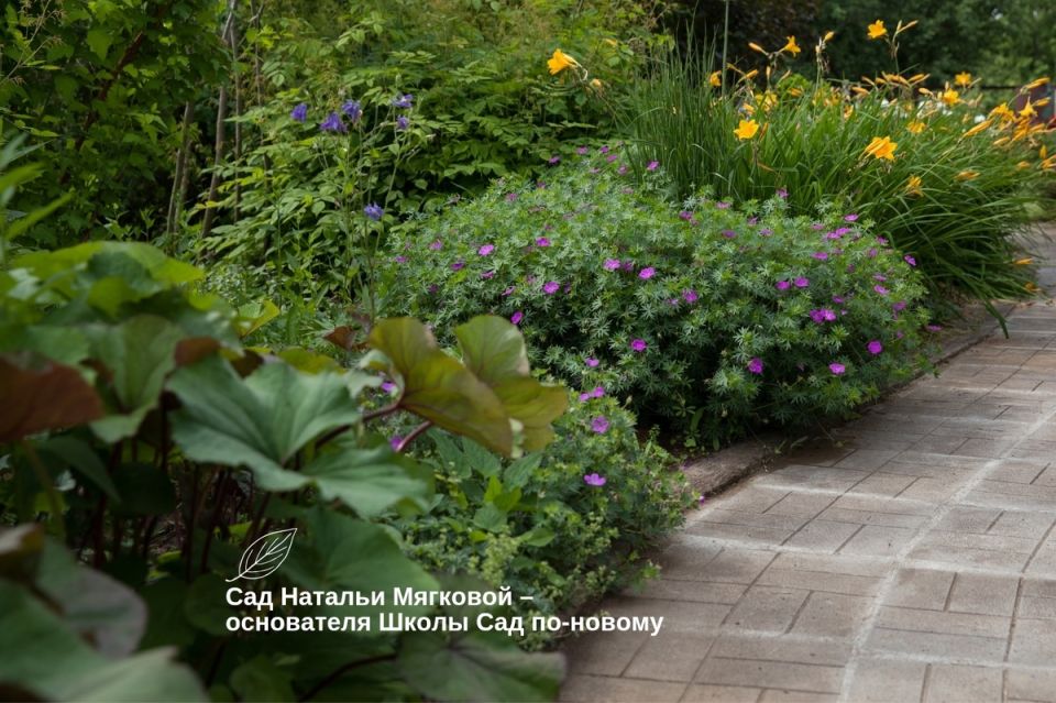 ��� ������� ��������� ������� ��� ������� ��������