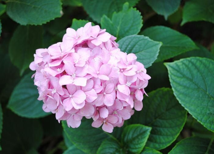 ���������: ������� ������� � ������� ��� �������� � ������� ������ ����