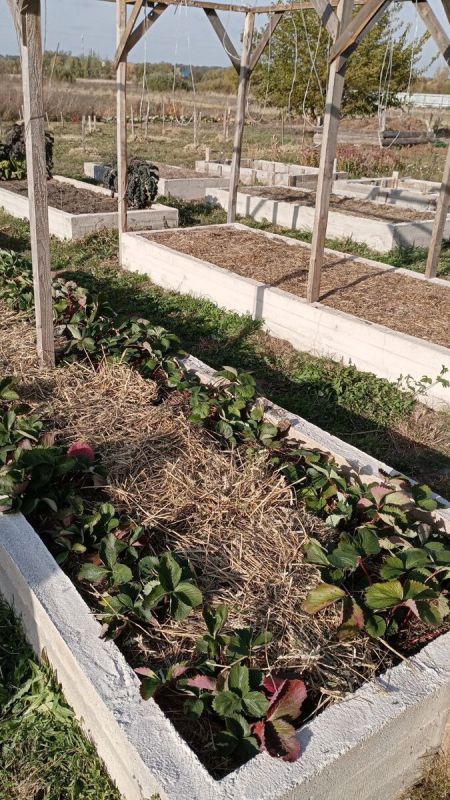 ������ ��� �������: ��� ��������� ������������ ������ ������