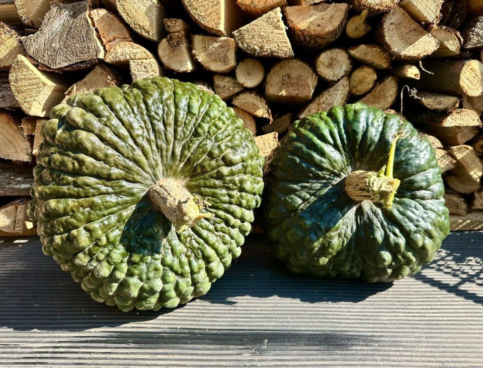 ��������� �����, ������� �������� ������