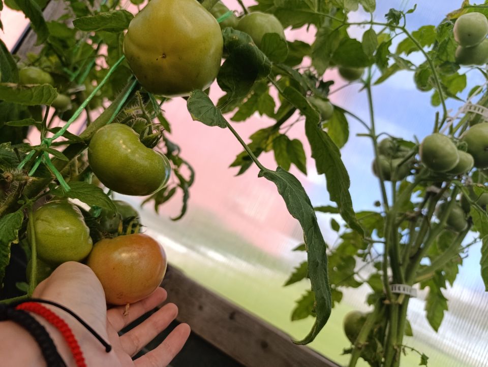 ������� ������� ������ ���������: ��� �������� ������ ����� �������