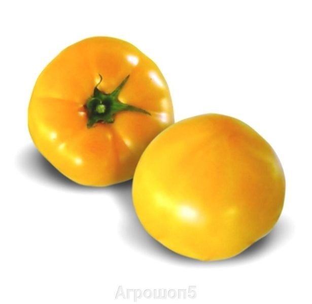 ����� �� 10: ������� ���������� ������ � ����� ����������� �����