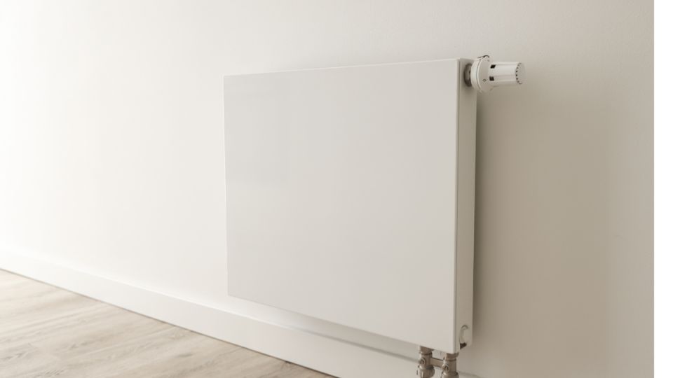 ��� ������ �������� �������� ������� � �����: ������ ����������������