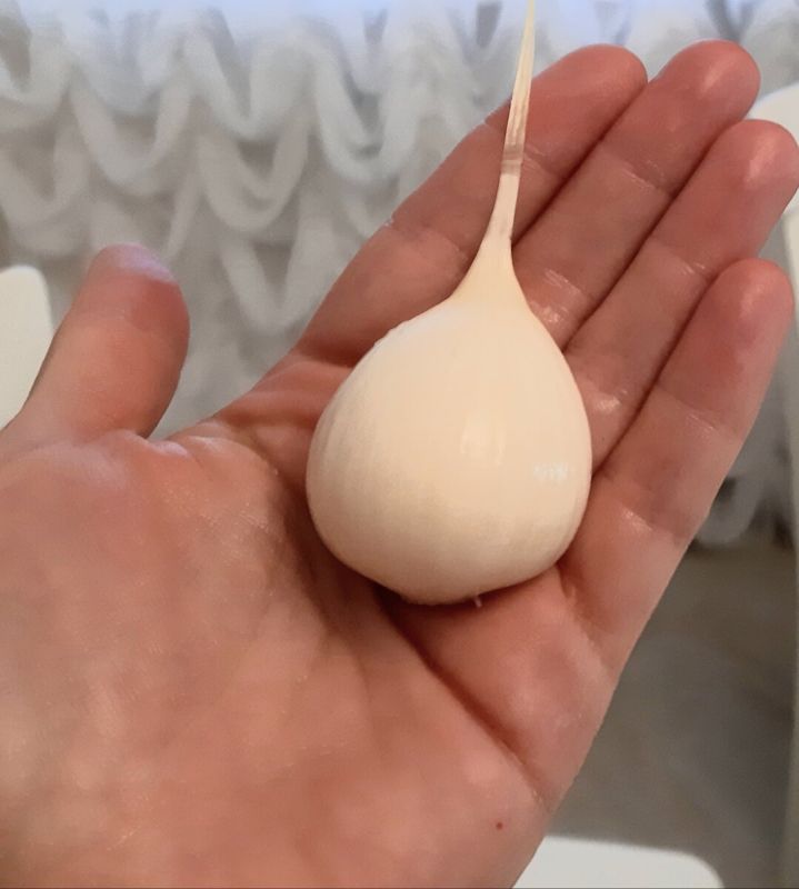 ��� ��������� ������� ������: ������� ��������� ������