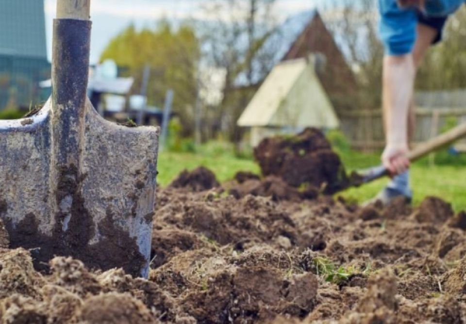 ��� ������������� ����� � �������� � ����������� �����