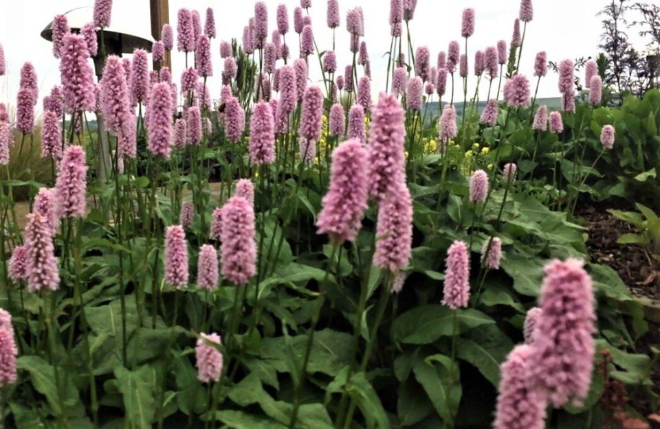 ������� �����: �� ������ ��������� ����, �� � �������� ��������