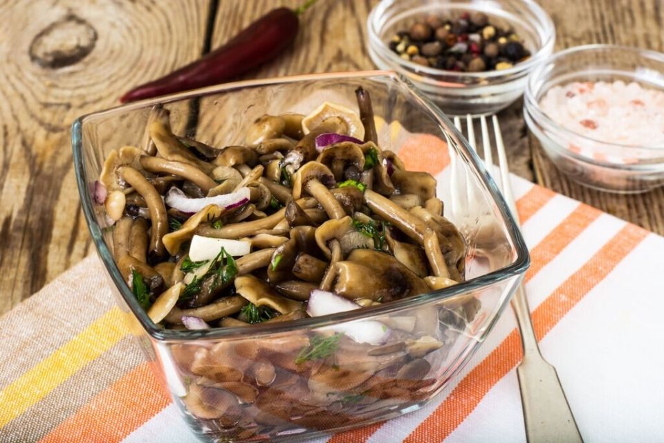 ��� ����������� ������������ �����: ������� ������ ��� �������