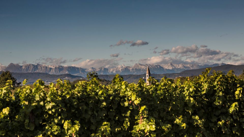 ����������� �������� �������� ��������� �� ���������� ����������