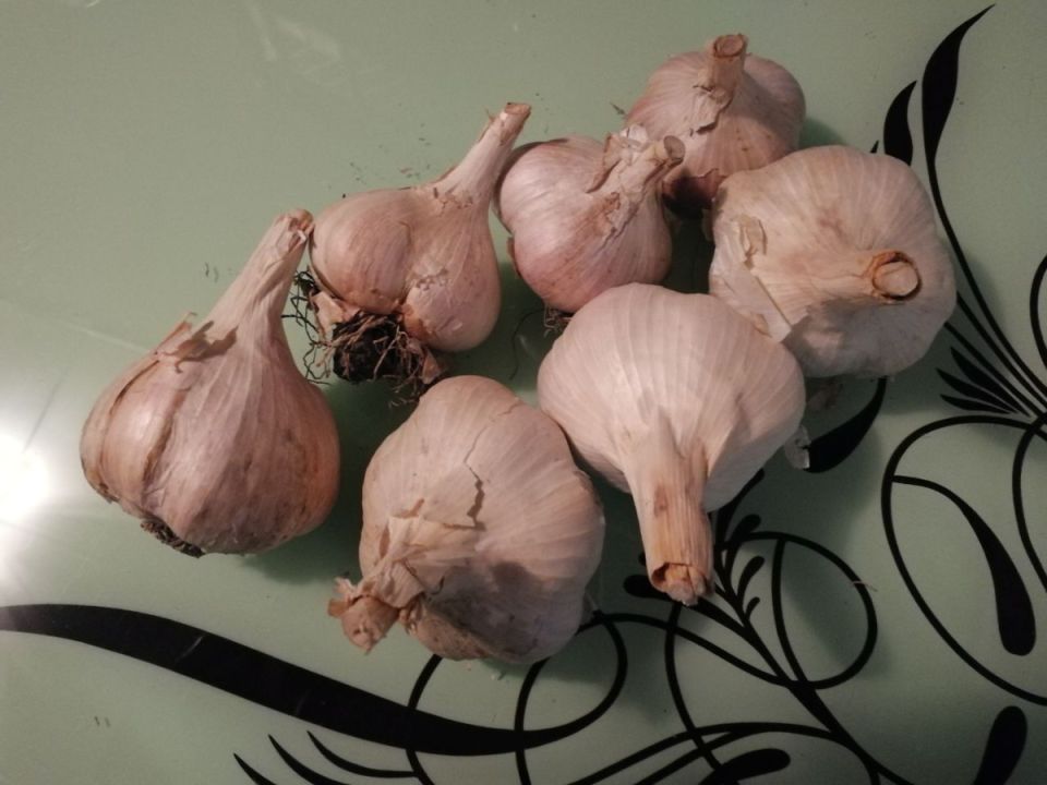 ����� ������ ������ � ��� ��� ����: ������ �� �����������