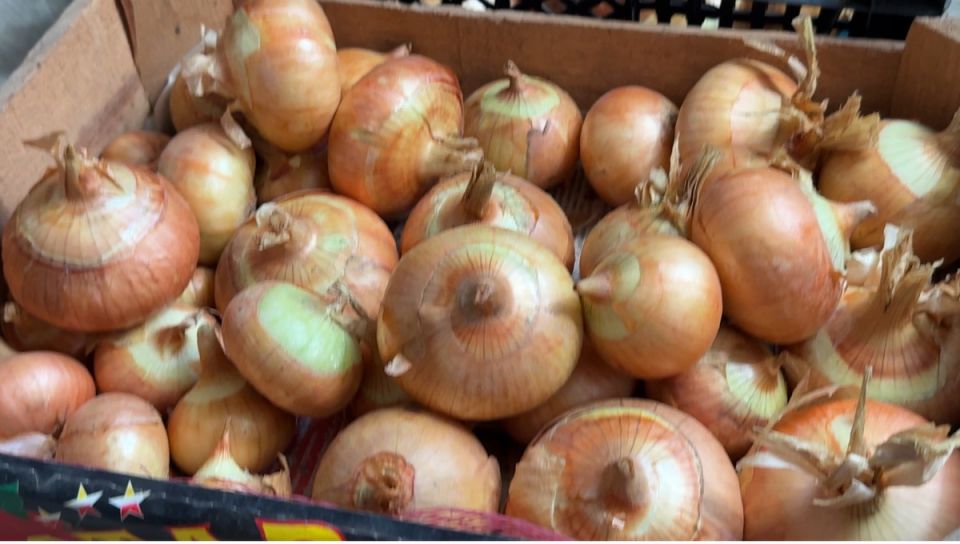 Как сохранить лук до лета: проверенный метод от агронома