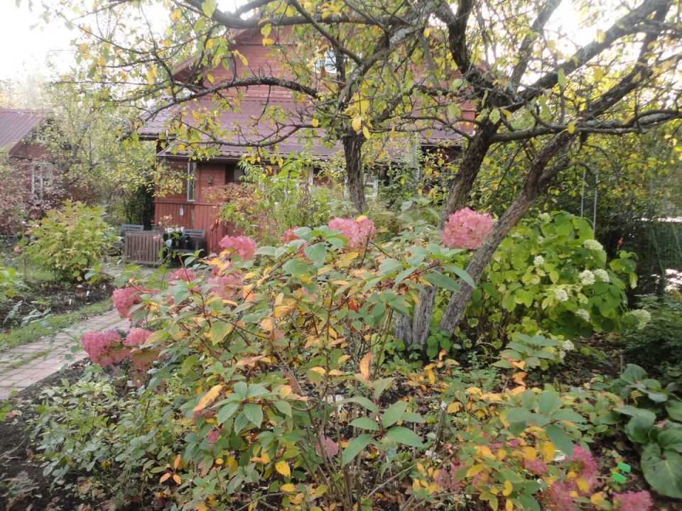 ��� ����� ������� �� ������� �����: ������ ������ � �������� ����