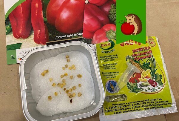 Сеем перцы и баклажаны: удачное время для раскладки семян