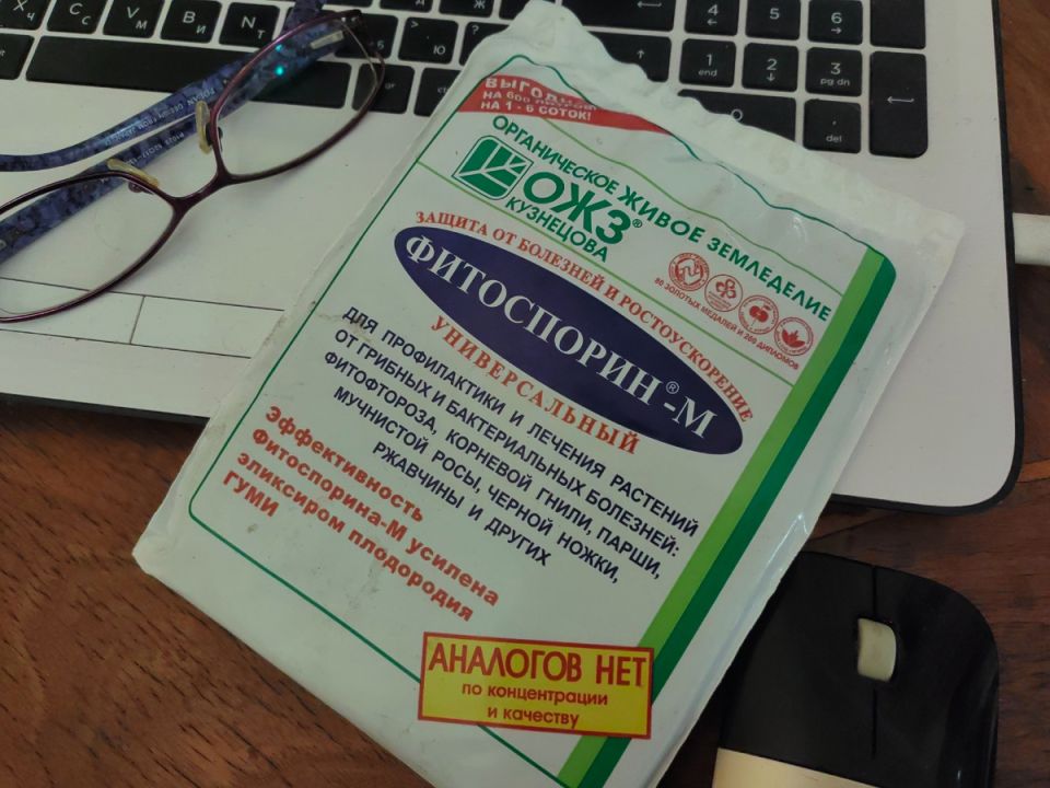 ���������� � ������� �����: ���������� ���� � ����������