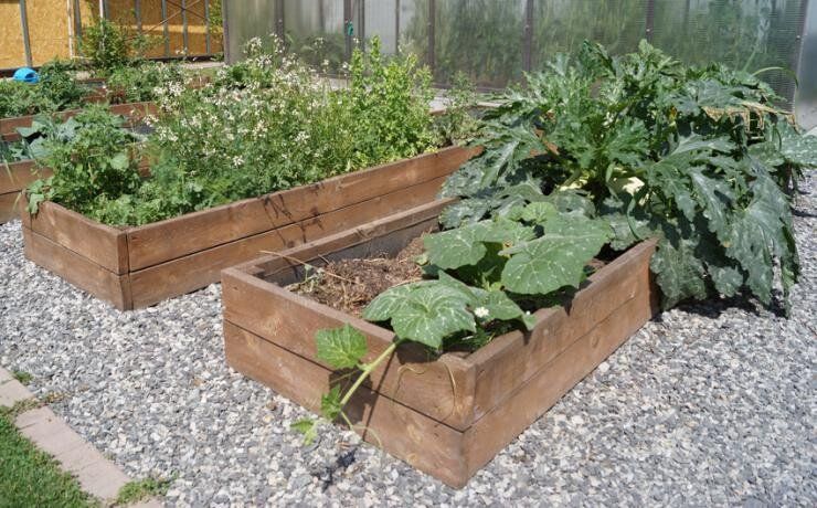 Как создать теплые грядки-короба: секреты успешного огорода