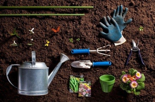 Что не стоит делать в саду весной